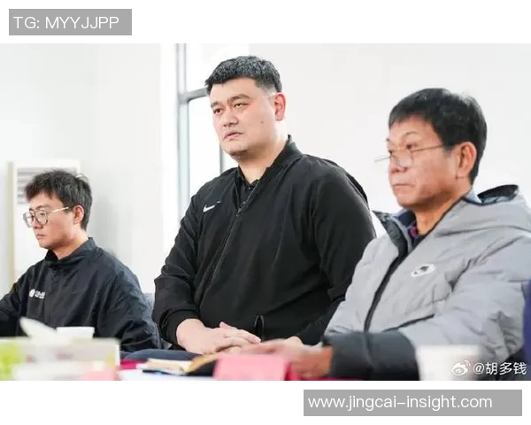 白岩松深度剖析姚明的篮球生涯与社会影响力的多重维度