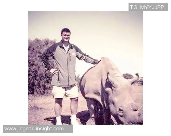 姚明对土豆的热爱揭秘：从篮球场到厨房的美味之旅